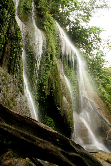 NATURE_foto_2