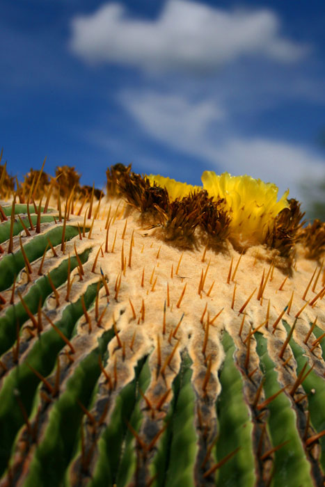 NATURE_foto_3
