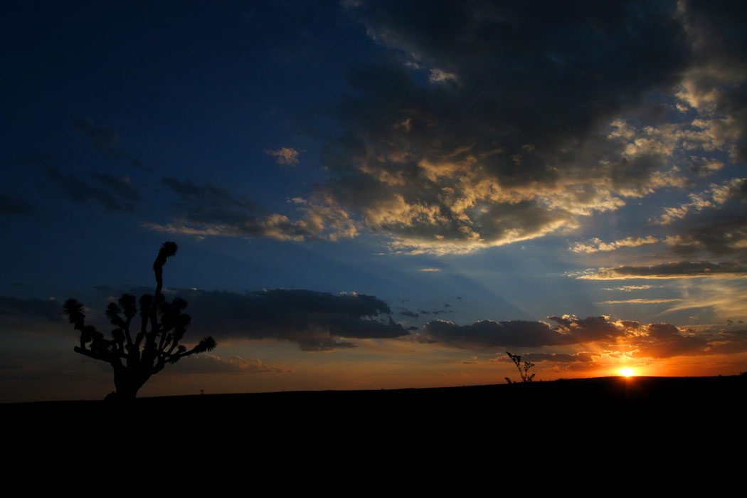 NATURE_foto_10