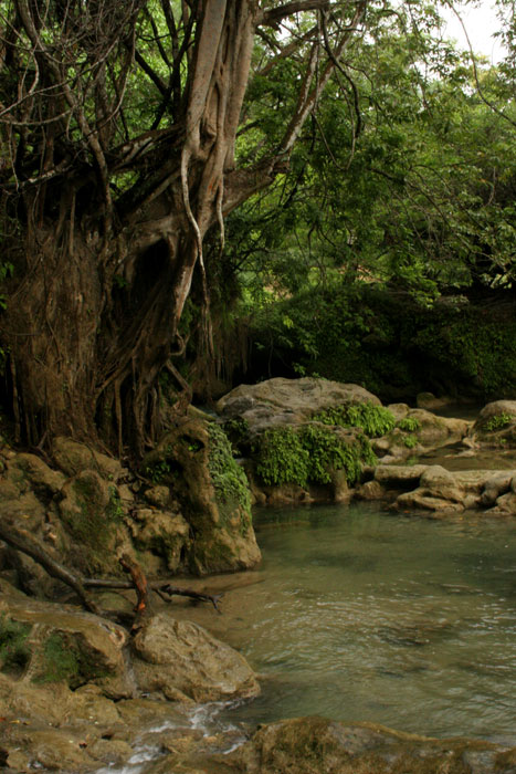 NATURE_foto_12