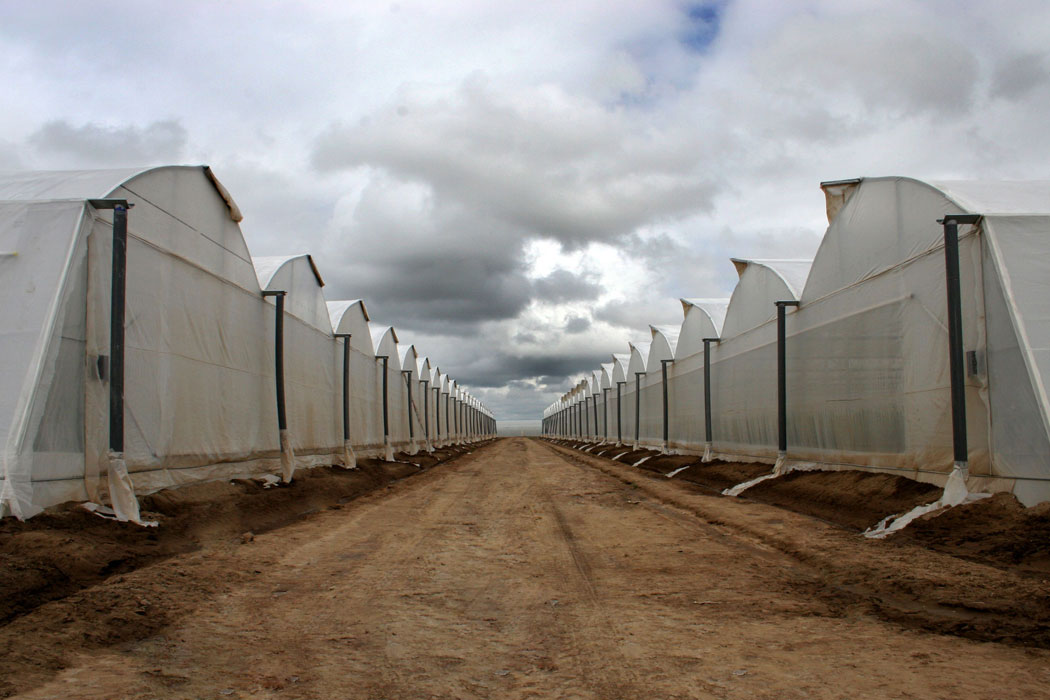 AGRONOMY_foto_2