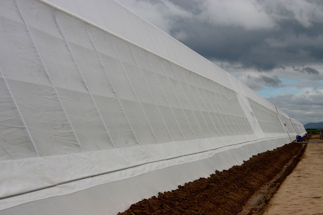 AGRONOMY_foto_3